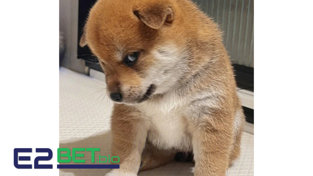 Nằm Mơ Thấy Chó Đánh Con Gì? Giải Mã Giấc Mơ Và Con Số May Mắn Từ Thế Giới Tâm Linh