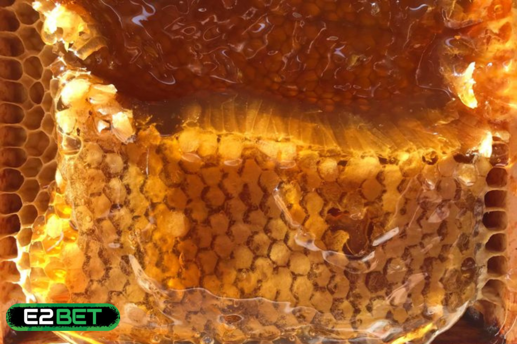Nằm Mơ Thấy Lấy Mật Ong Đánh Con Gì? Giải Mã Giấc Mơ Mang Lại Tài Lộc Và Con Số May Mắn
