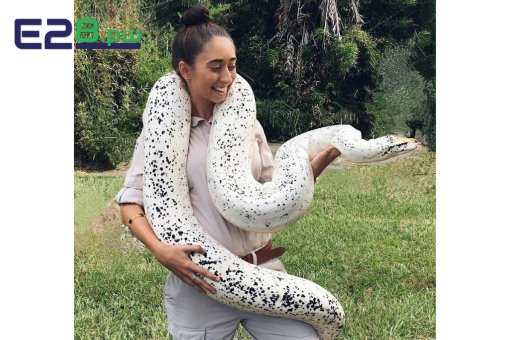 Nằm Mơ Thấy Trăn Khổng Lồ Đánh Số Gì? Giải Mã Giấc Mơ Trăn Và Những Con Số May Mắn